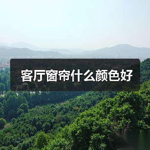 客厅窗帘什么颜色好(图2) 客厅窗帘什么颜色好(图2)