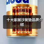 十大家居沙发垫品牌介绍(图4) 十大家居沙发垫品牌介绍(图4)
