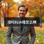 澳柯玛冰箱怎么样(图3) 澳柯玛冰箱怎么样(图3)