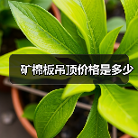 矿棉板吊顶价格是多少(图2) 矿棉板吊顶价格是多少(图2)