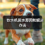 饮水机漏水原因和解决办法（图3）