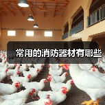 常用的消防器材有哪些(图1) 常用的消防器材有哪些(图1)