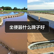 坐便器什么牌子好（图1）