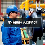 坐便器什么牌子好（图3）