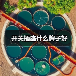 开关插座什么牌子好(图3) 开关插座什么牌子好(图3)