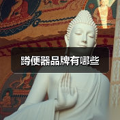 蹲便器品牌有哪些（图2）