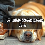 漏电保护器接线图接线方法(图3) 漏电保护器接线图接线方法(图3)