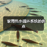 家用热水循环系统的优点(图3) 家用热水循环系统的优点(图3)