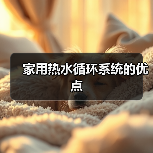 家用热水循环系统的优点(图4) 家用热水循环系统的优点(图4)