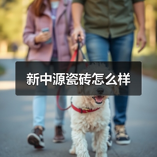 新中源瓷砖怎么样(图1) 新中源瓷砖怎么样(图1)