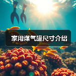 家用煤气罐尺寸介绍(图2) 家用煤气罐尺寸介绍(图2)