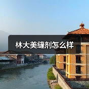 林大美缝剂怎么样(图2) 林大美缝剂怎么样(图2)