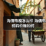 海信电视怎么样 海信电视机价格如何(图4) 海信电视怎么样 海信电视机价格如何(图4)