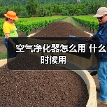 空气净化器怎么用 什么时候用（图3）