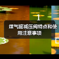 煤气罐减压阀特点和使用注意事项(图3) 煤气罐减压阀特点和使用注意事项(图3)