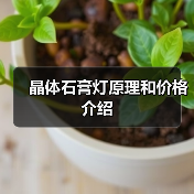 晶体石膏灯原理和价格介绍(图2) 晶体石膏灯原理和价格介绍(图2)