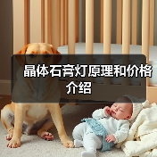 晶体石膏灯原理和价格介绍(图4) 晶体石膏灯原理和价格介绍(图4)
