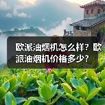 欧派油烟机怎么样?欧派油烟机价格多少?(图1) 欧派油烟机怎么样?欧派油烟机价格多少?(图1)