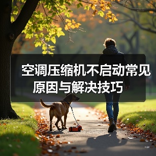 空调压缩机不启动常见原因与解决技巧(图2) 空调压缩机不启动常见原因与解决技巧(图2)