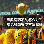 电风扇转不动怎么办?常见故障维修方法解析(图4) 电风扇转不动怎么办?常见故障维修方法解析(图4)