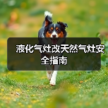 液化气灶改天然气灶安全指南（图4）