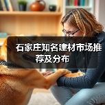 石家庄知名建材市场推荐及分布(图2) 石家庄知名建材市场推荐及分布(图2)