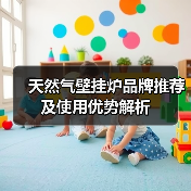 天然气壁挂炉品牌推荐及使用优势解析(图4) 天然气壁挂炉品牌推荐及使用优势解析(图4)