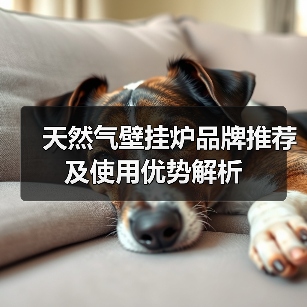 天然气壁挂炉品牌推荐及使用优势解析(图2) 天然气壁挂炉品牌推荐及使用优势解析(图2)