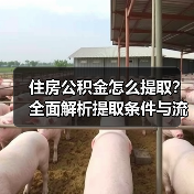 住房公积金怎么提取?全面解析提取条件与流程(图1) 住房公积金怎么提取?全面解析提取条件与流程(图1)
