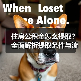 住房公积金怎么提取?全面解析提取条件与流程(图2) 住房公积金怎么提取?全面解析提取条件与流程(图2)