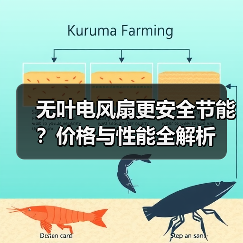 无叶电风扇更安全节能?价格与性能全解析(图1) 无叶电风扇更安全节能?价格与性能全解析(图1)