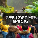 洗菜机十大品牌推荐及价格对比分析（图4）