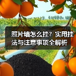 照片墙怎么挂?实用挂法与注意事项全解析(图1) 照片墙怎么挂?实用挂法与注意事项全解析(图1)