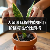 大师漆环保性能如何？价格与性价比解析（图1）