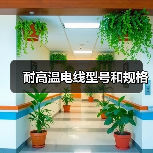 耐高温电线型号和规格(图4) 耐高温电线型号和规格(图4)