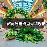 耐高温电线型号和规格(图1) 耐高温电线型号和规格(图1)