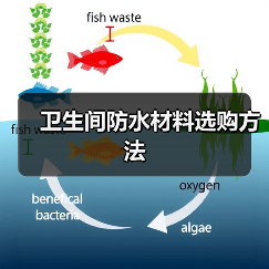 卫生间防水材料选购方法（图3）