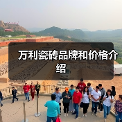 万利瓷砖品牌和价格介绍(图4) 万利瓷砖品牌和价格介绍(图4)