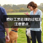 喷砂工艺处理的过程及注意要点(图4) 喷砂工艺处理的过程及注意要点(图4)