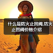 什么是防火止回阀,防火止回阀价格介绍(图4) 什么是防火止回阀,防火止回阀价格介绍(图4)