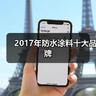 2017年防水涂料十大品牌(图1) 2017年防水涂料十大品牌(图1)
