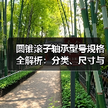 圆锥滚子轴承型号规格全解析:分类、尺寸与选型指南(图2) 圆锥滚子轴承型号规格全解析:分类、尺寸与选型指南(图2)