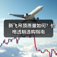 新飞吊顶质量如何?价格透明选购指南(图1) 新飞吊顶质量如何?价格透明选购指南(图1)