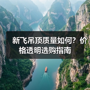 新飞吊顶质量如何?价格透明选购指南(图3) 新飞吊顶质量如何?价格透明选购指南(图3)