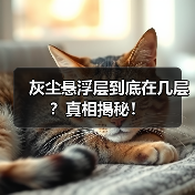 灰尘悬浮层到底在几层?真相揭秘!(图2) 灰尘悬浮层到底在几层?真相揭秘!(图2)