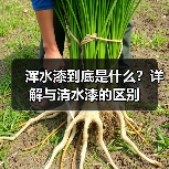 浑水漆到底是什么?详解与清水漆的区别(图4) 浑水漆到底是什么?详解与清水漆的区别(图4)