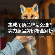 集成吊顶品牌怎么选？实力派品牌价格全解析（图2）