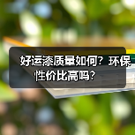 好运漆质量如何?环保性价比高吗?(图4) 好运漆质量如何?环保性价比高吗?(图4)