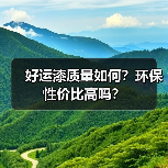 好运漆质量如何?环保性价比高吗?(图2) 好运漆质量如何?环保性价比高吗?(图2)