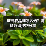 玻璃胶品牌怎么选？清除残留技巧分享（图2）